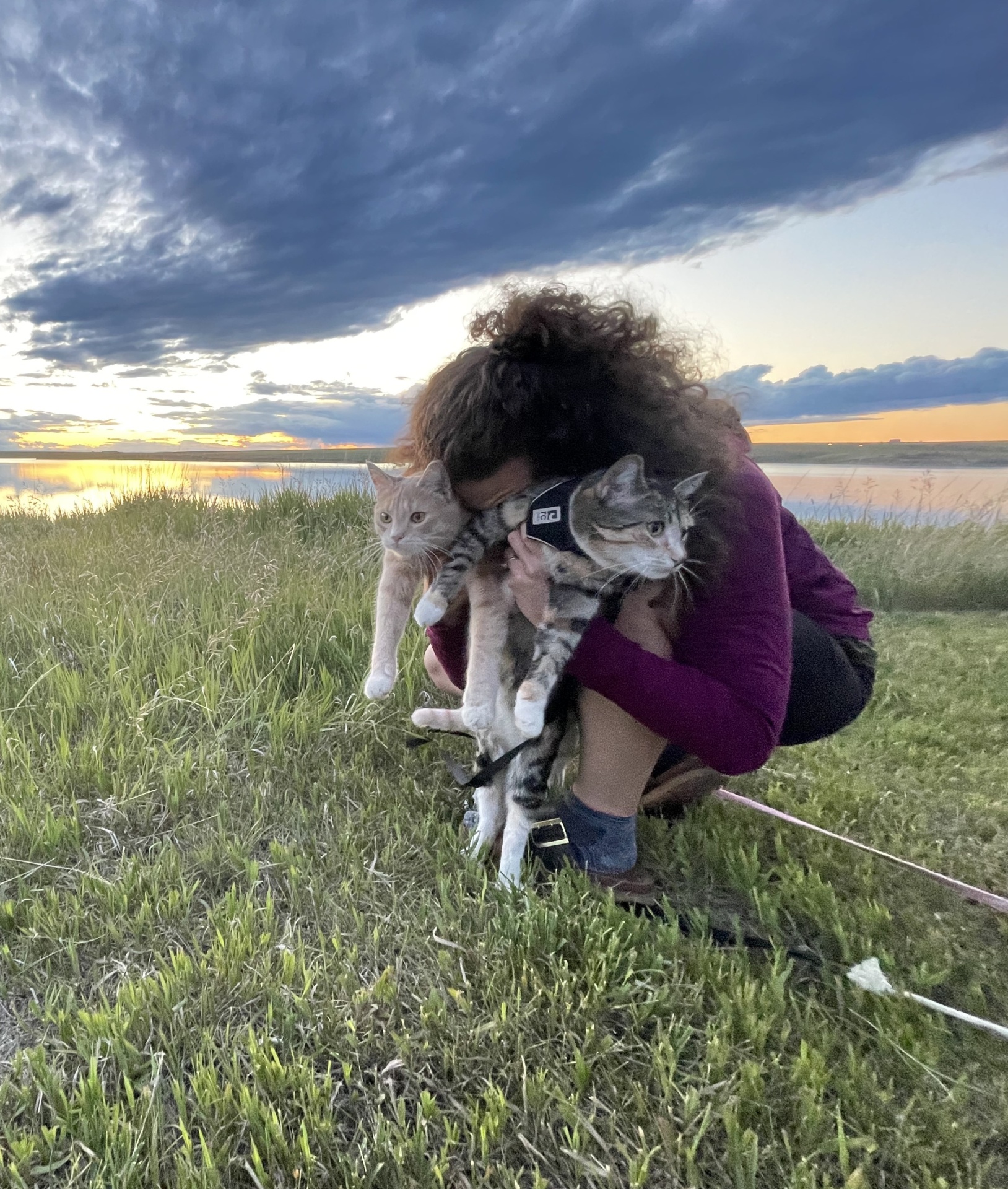 Karolina Steinerova holding her two cats at sunset